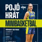 Basketbalové kroužky